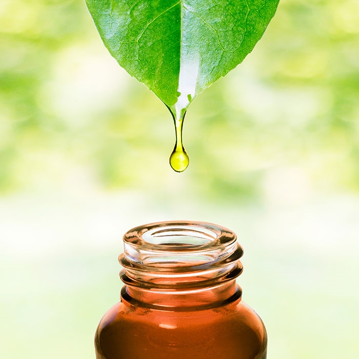 L'aromathérapie et ses huiles essentielles